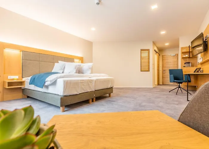 Schwan Und Post Business Quarters Hotell 4*